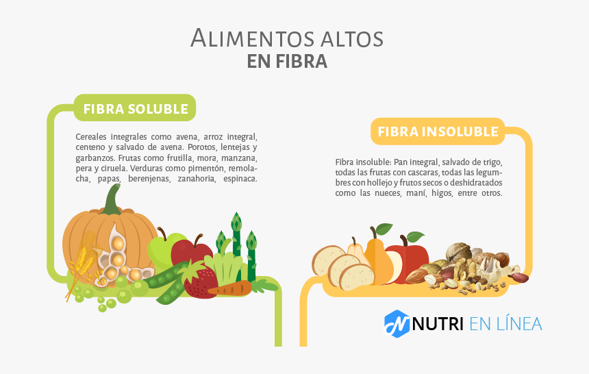 Fibra Alimentos - Fibra Alimentaria Beneficios, HD Png Download