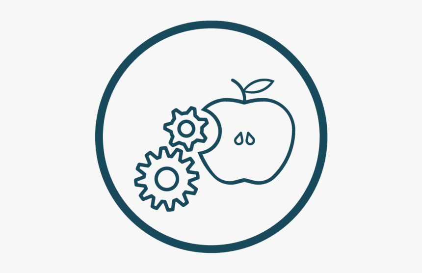 Circle, HD Png Download