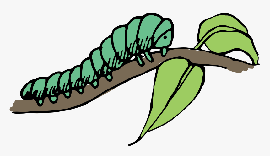 Caterpillar Clip Art, HD Png Download