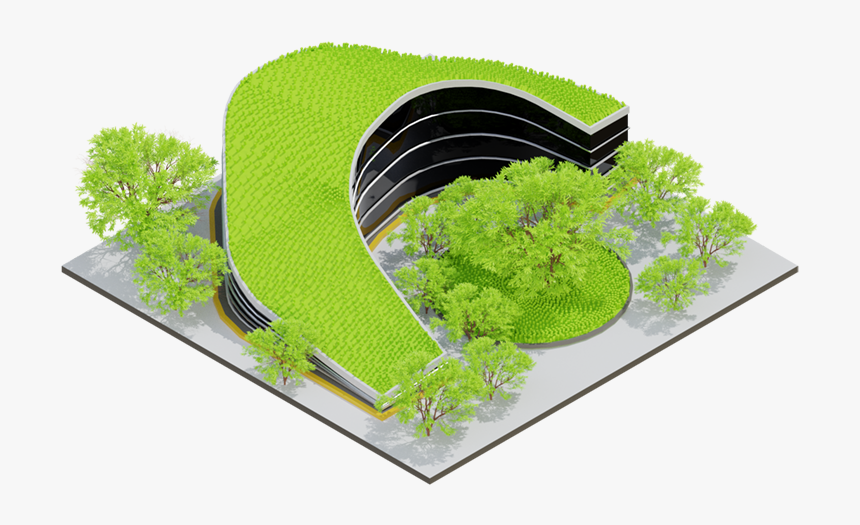 Grass, HD Png Download