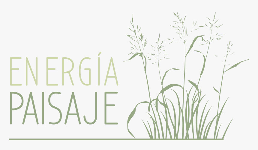 Hierochloe, HD Png Download