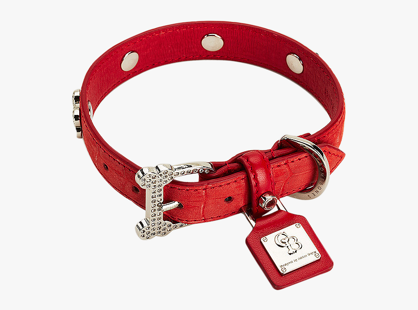 Dog Collar Png Photo - Dog Collar Png, Transparent Png