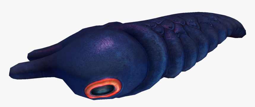 Subnautica Wiki - Vegetable, HD Png Download