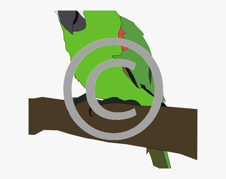 Parrot Clip Art, HD Png Download