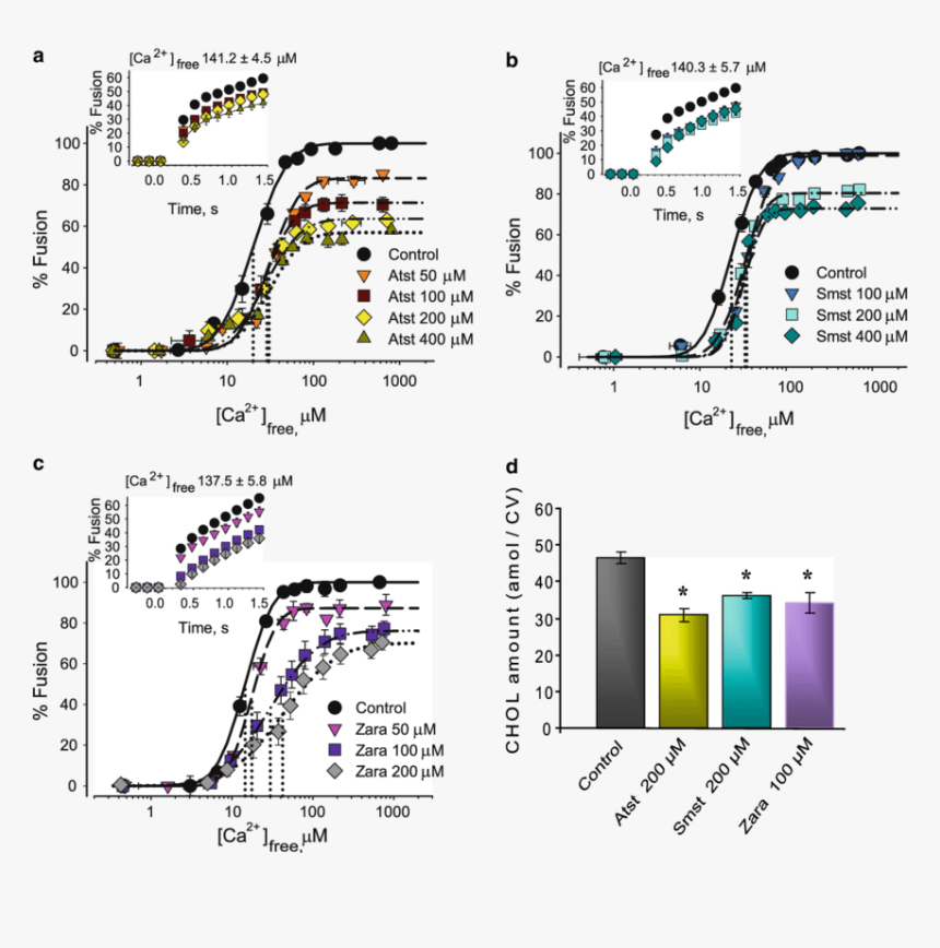 Diagram, HD Png Download