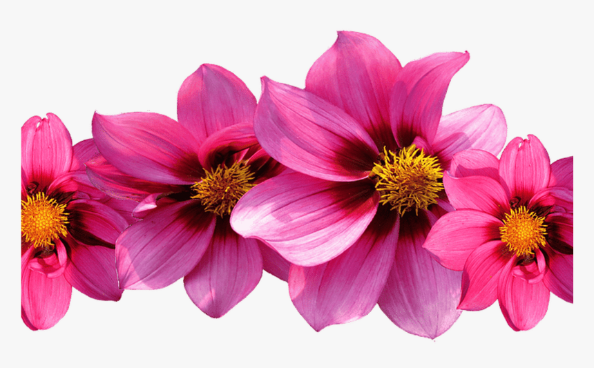 Tumblr Flowers Png - Invitation Cards Design For Birthday, Transparent Png