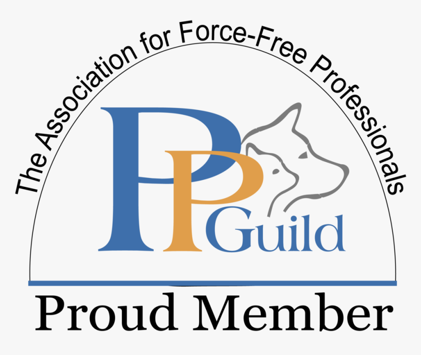 Crazy Dog - Force Free Dog Trainer, HD Png Download