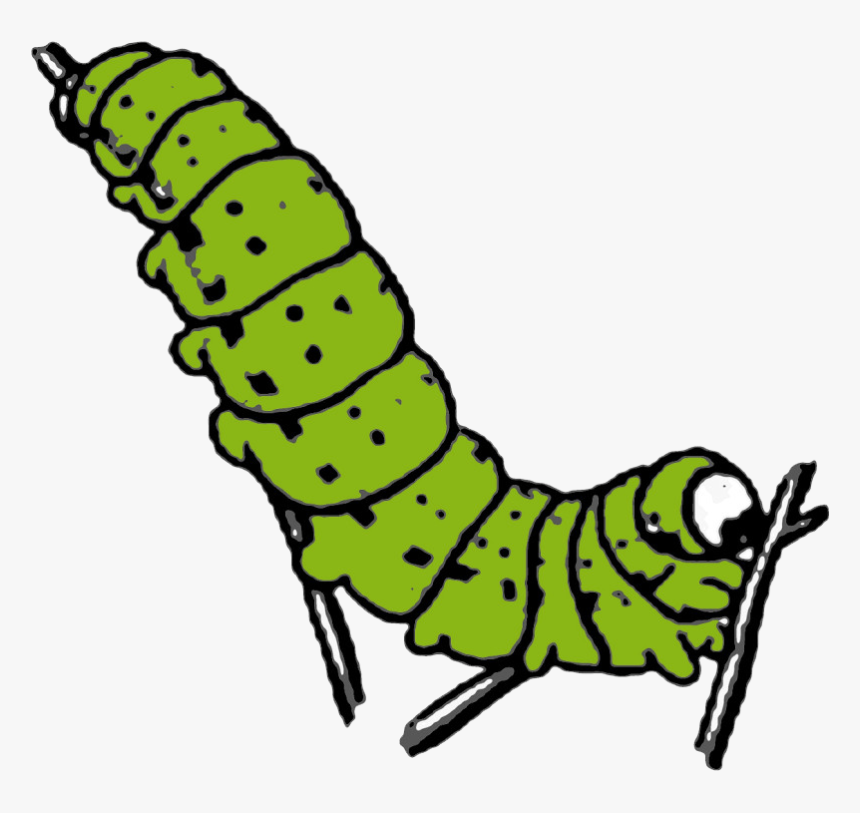 Caterpillar Png Photo Background - Caterpillar Clipart, Transparent Png