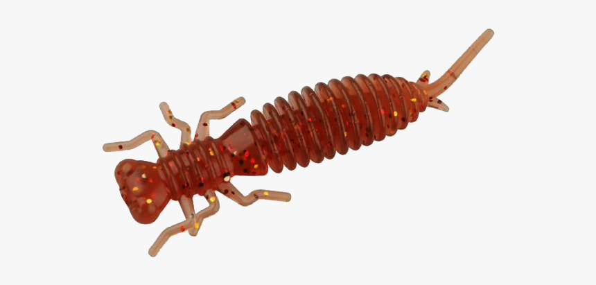 Larva Png, Transparent Png