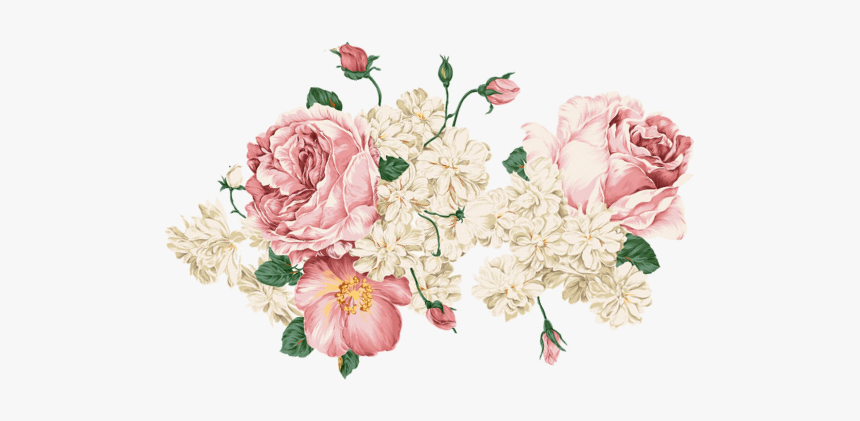 Hoa Mẫu Đơn Màu Nuoc, HD Png Download