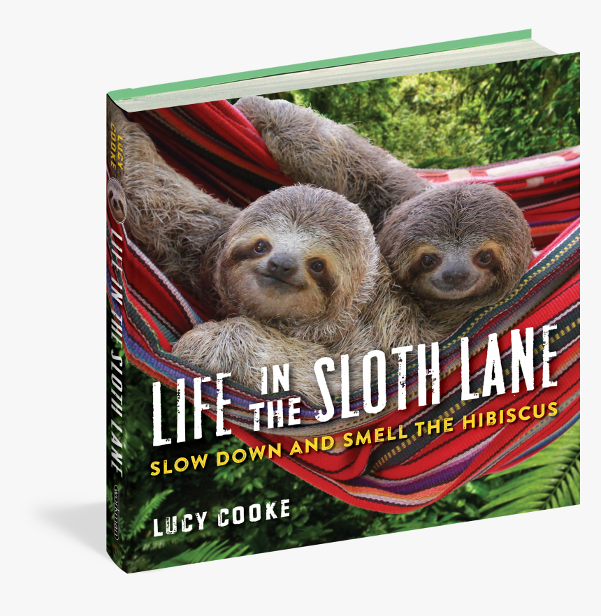 Transparent Sloth Png - Life In The Sloth Lane, Png Download