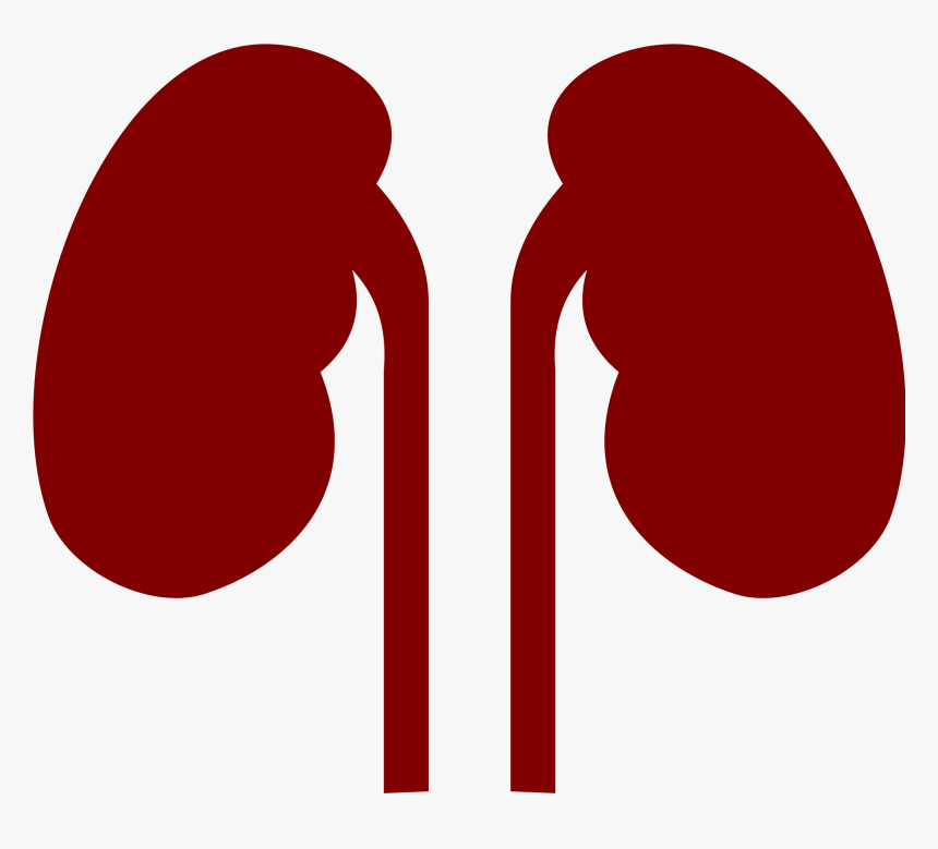 Transparent Office Clip Art, HD Png Download , Transparent Png Image