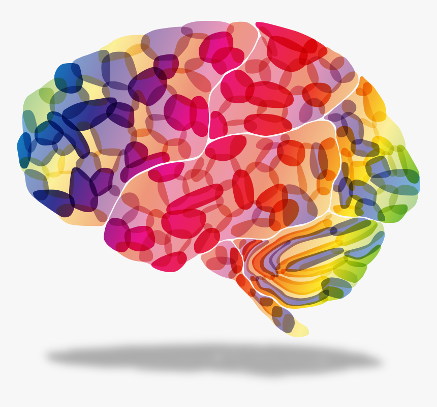 Colored brains