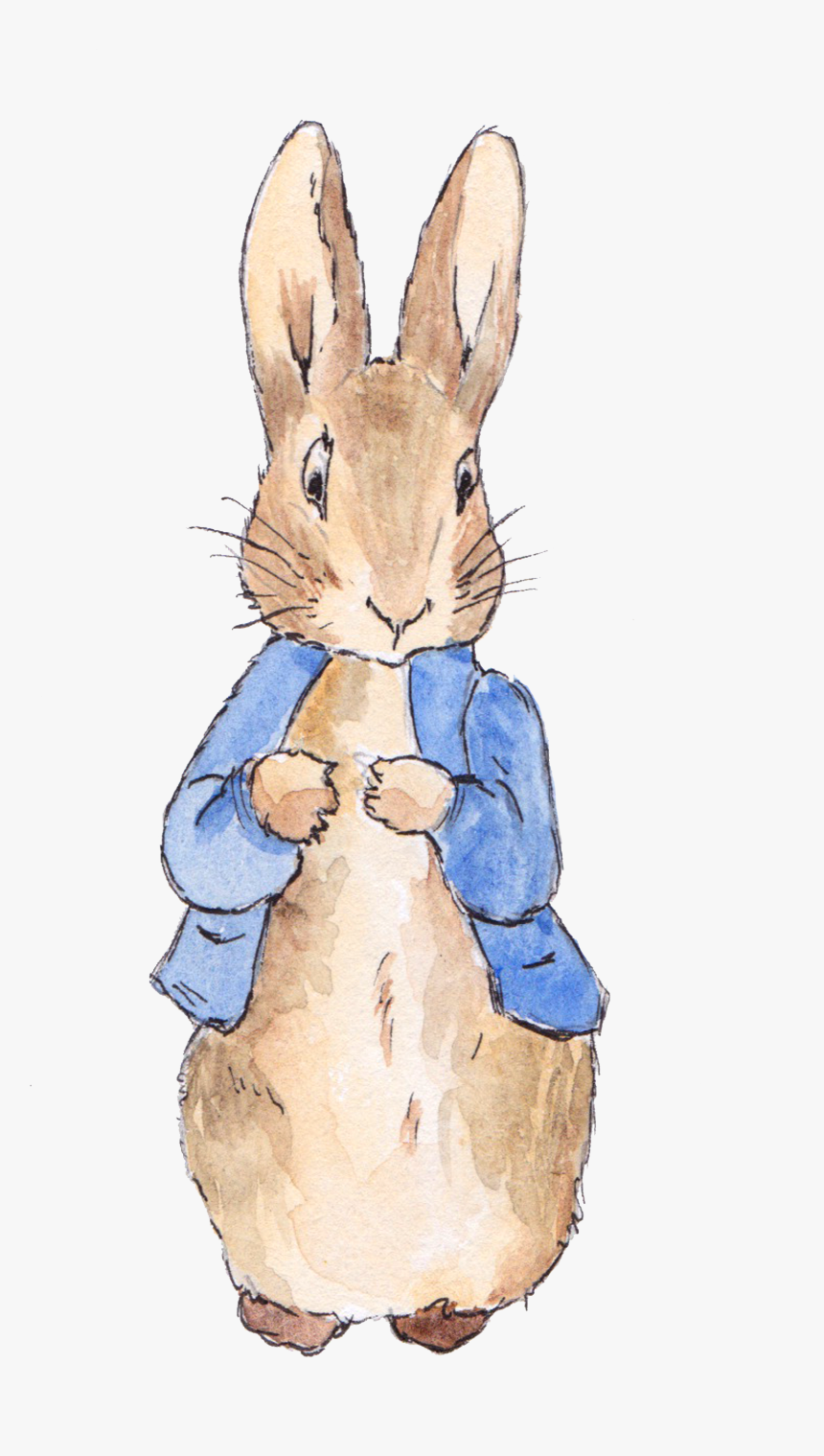 Peter Rabbit Png, Transparent Png , Transparent Png Image - PNGitem