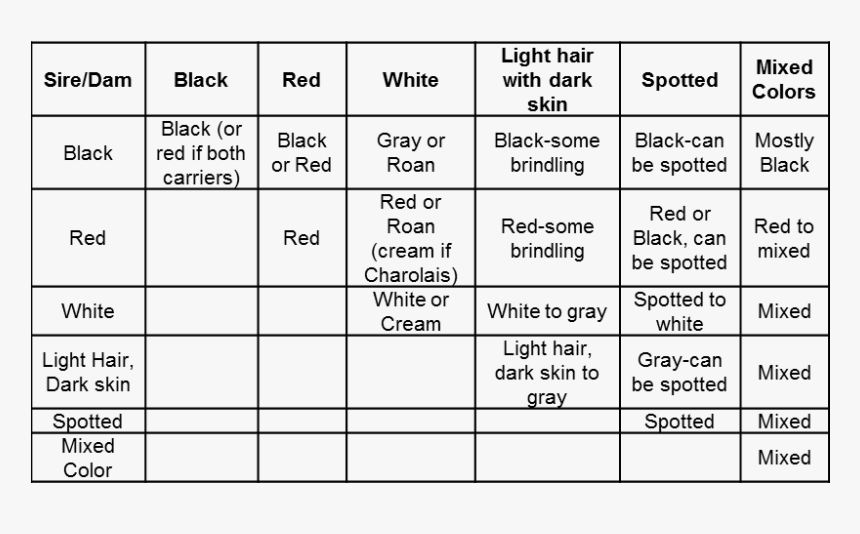 Transparent Cow Spots Png, Png Download