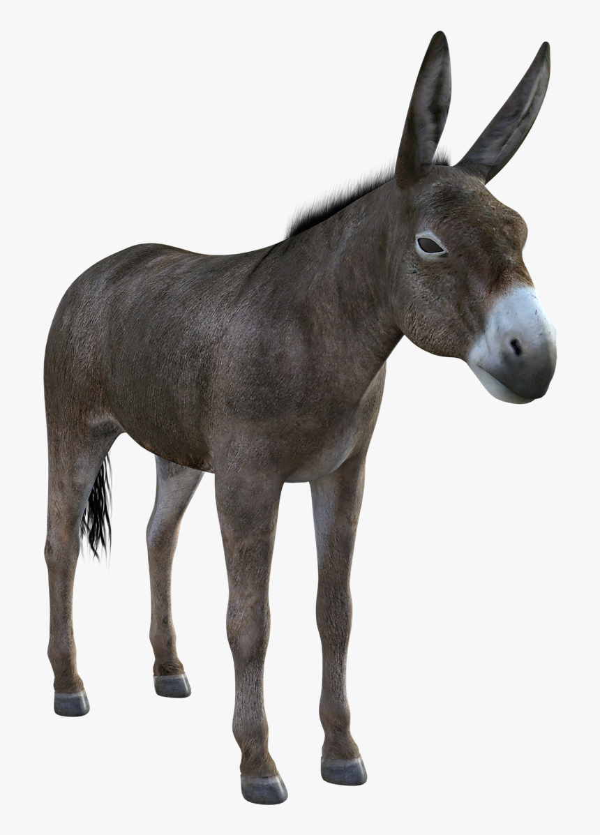 Democrat Donkey Png, Transparent Png