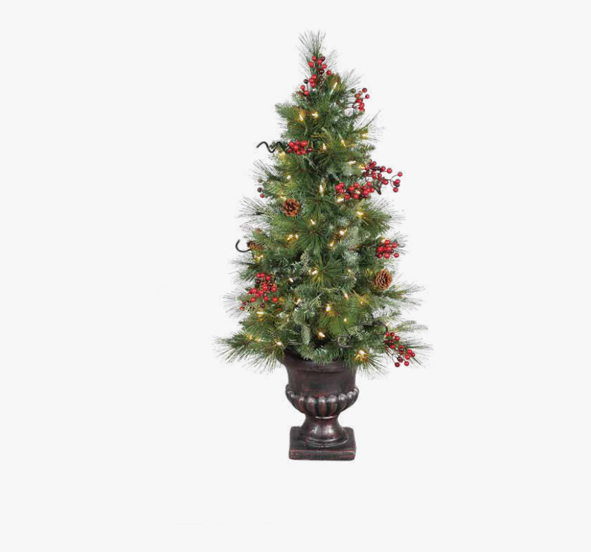 Christmas Greenery Png, Transparent Png