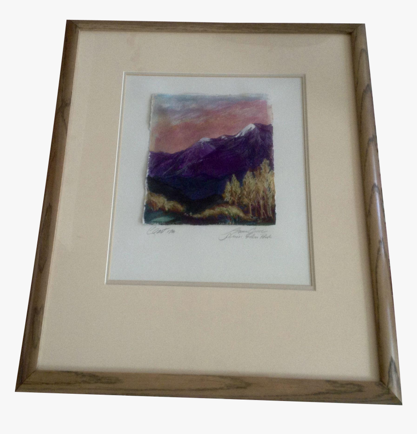 Transparent Aspen Tree Png, Png Download