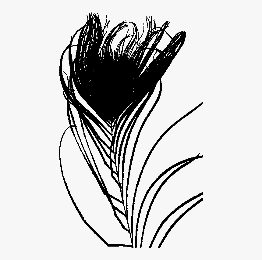 Line Art,eye,coloring Book - Line Art, HD Png Download