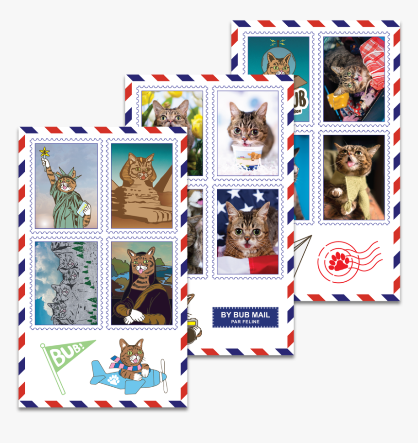 Kitten, HD Png Download