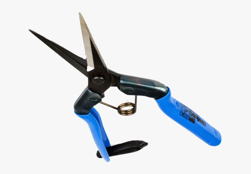 Chikamasa Bonsai Scissors - Cutting Tool, HD Png Download