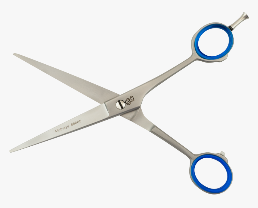 Scissors, HD Png Download