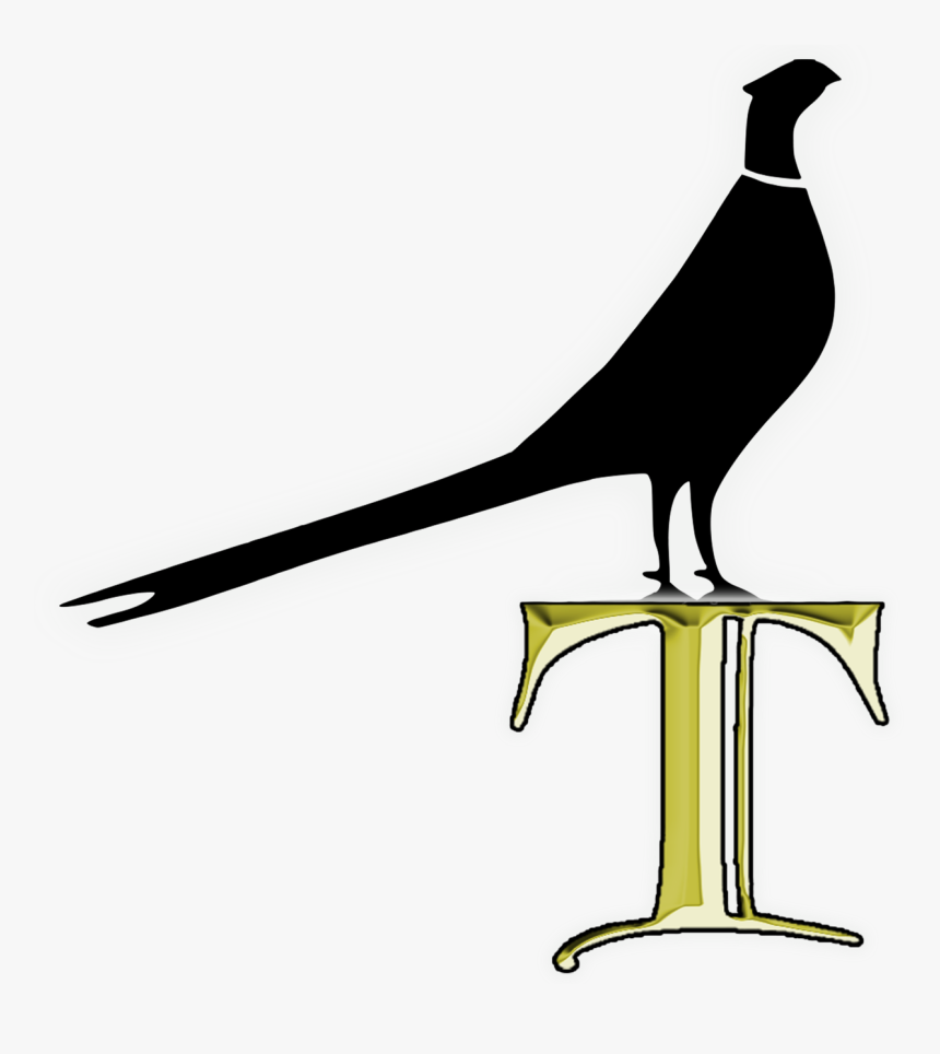 Phasianidae, HD Png Download