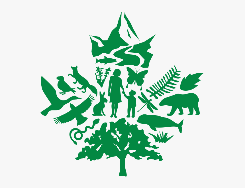 Biodiversity Transparent, HD Png Download