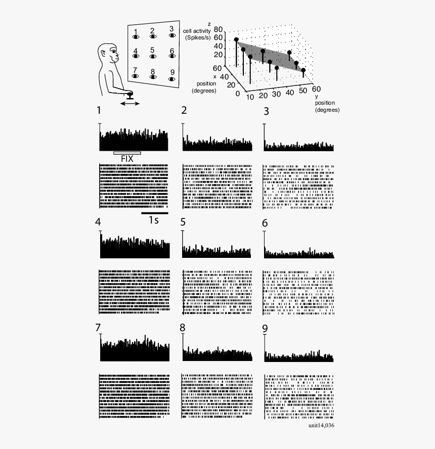 Illustration, HD Png Download