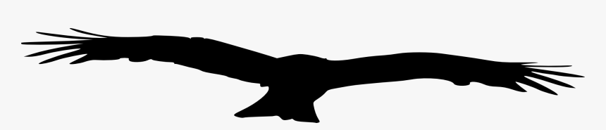 Eagle, HD Png Download