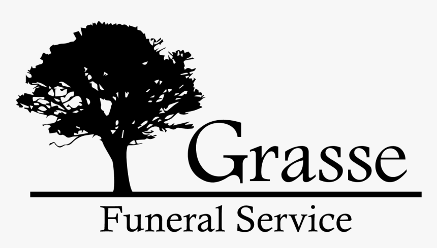 Site Image - Transparent Background Tree Silhouette, HD Png Download