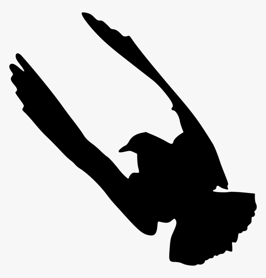 Illustration, HD Png Download