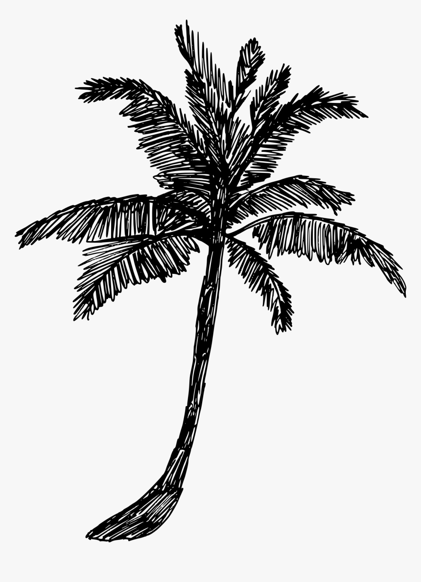 Drawing, HD Png Download