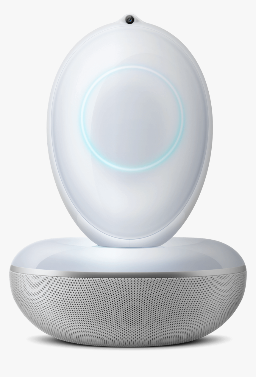 Circle, HD Png Download