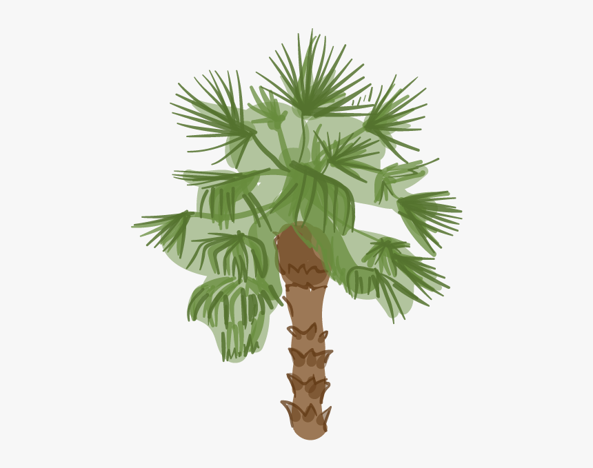 Cartoon Png Desert Palm Trees, Transparent Png