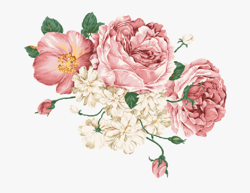 Picture Peonies Png Transparent Png Transparent Png Image Pngitem