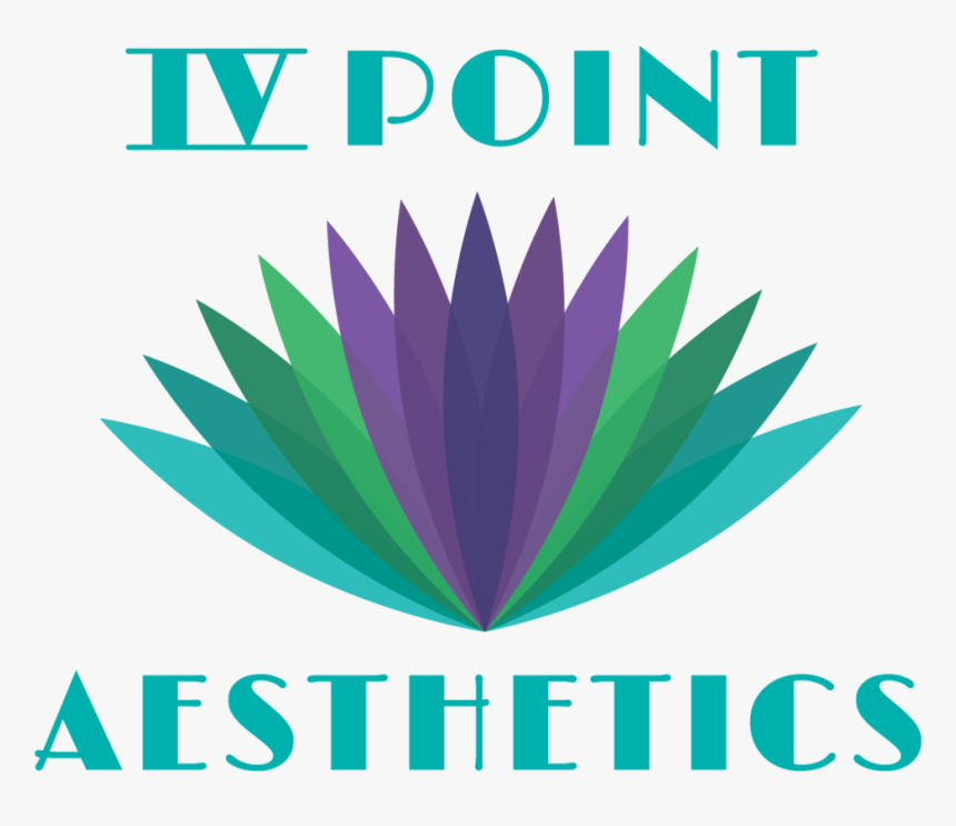 Aesthetics Png, Transparent Png