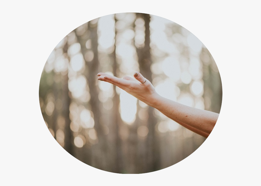 Brisbane Psychologists - Qualia Psychology - Reiki, HD Png Download