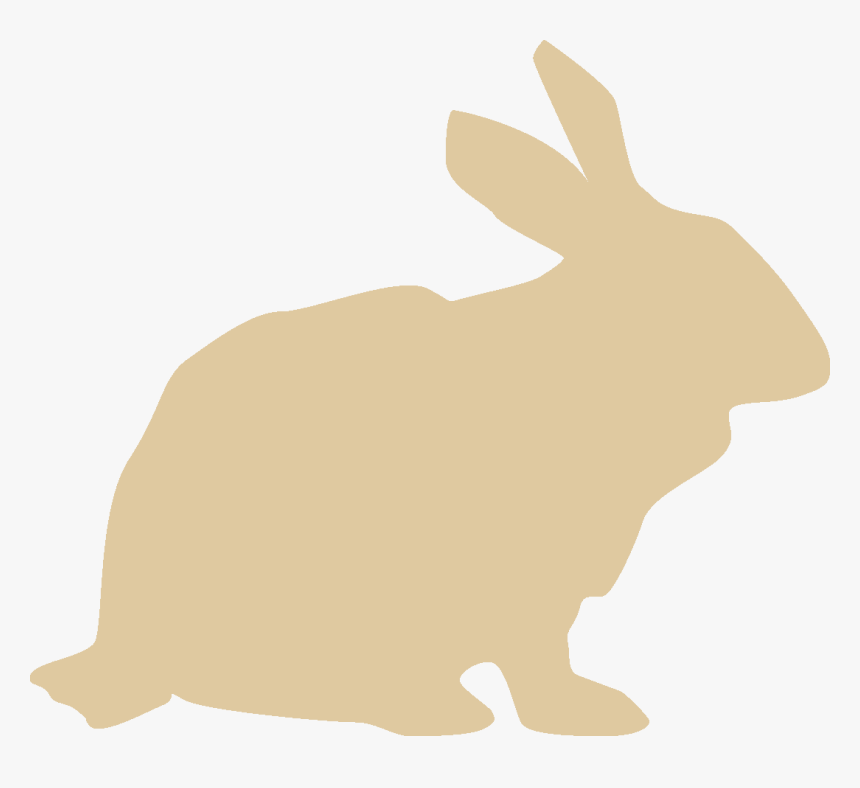 Transparent Rabbit Icon Png - Domestic Rabbit, Png Download