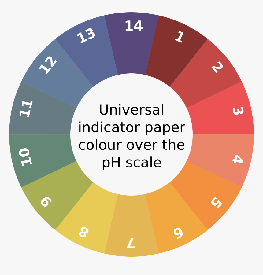 Indicator Key Big Image - Circle, HD Png Download