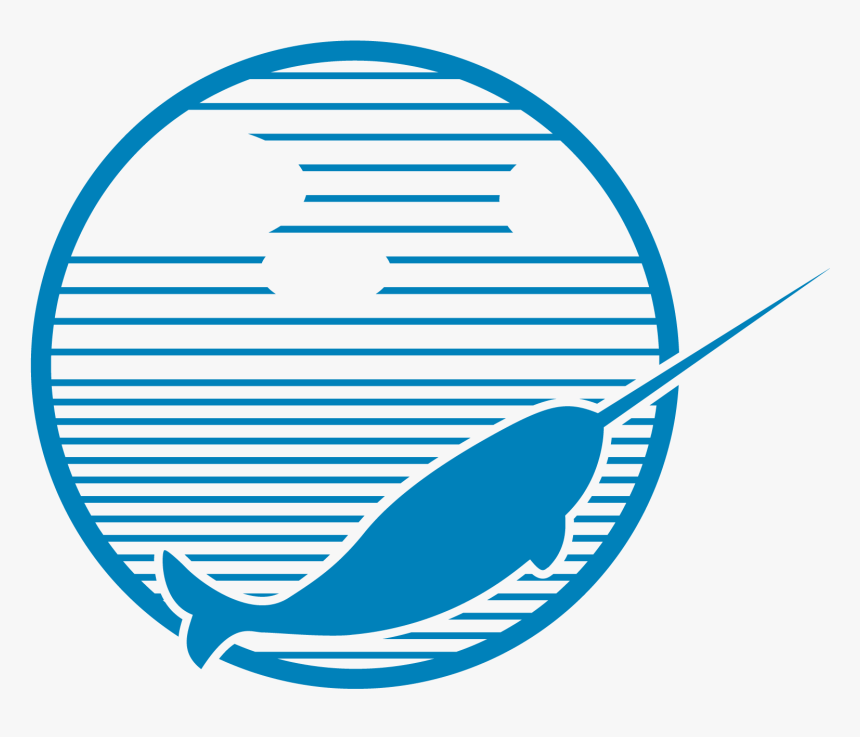 Narwhal Creative - Circle, HD Png Download