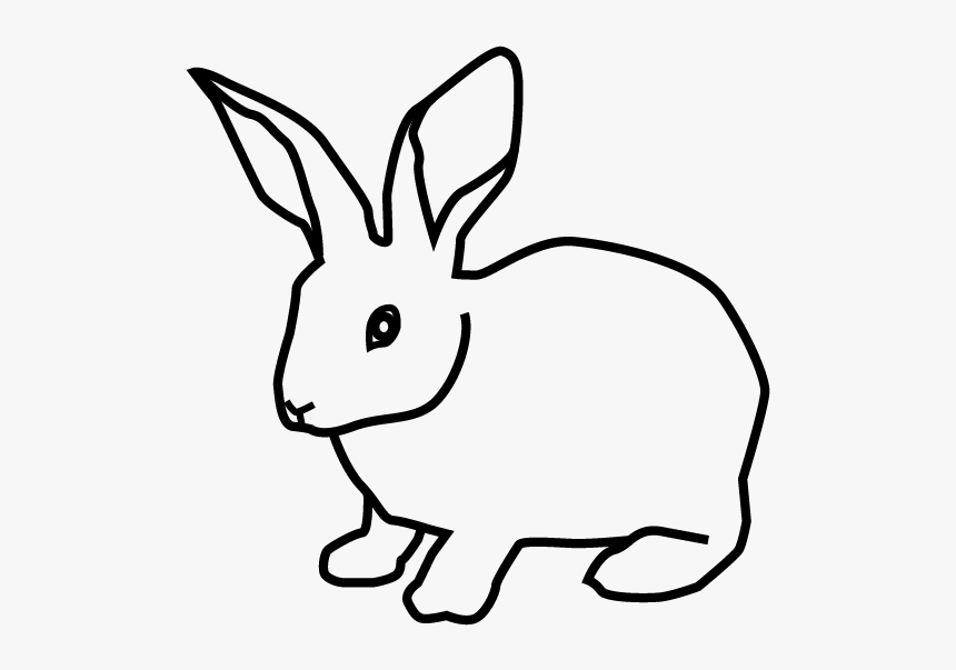 Domestic Rabbit, HD Png Download