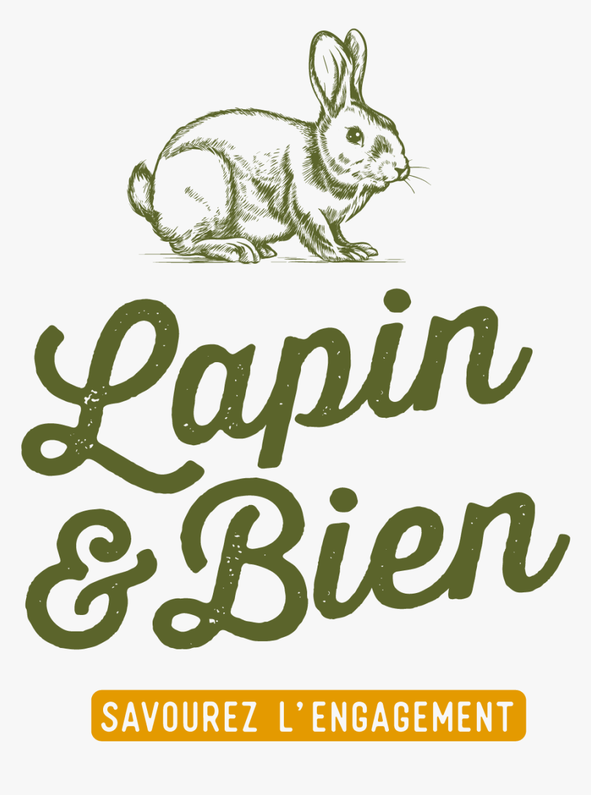 Logo Lapinetbien Def Plan De Travail 1 - Domestic Rabbit, HD Png Download