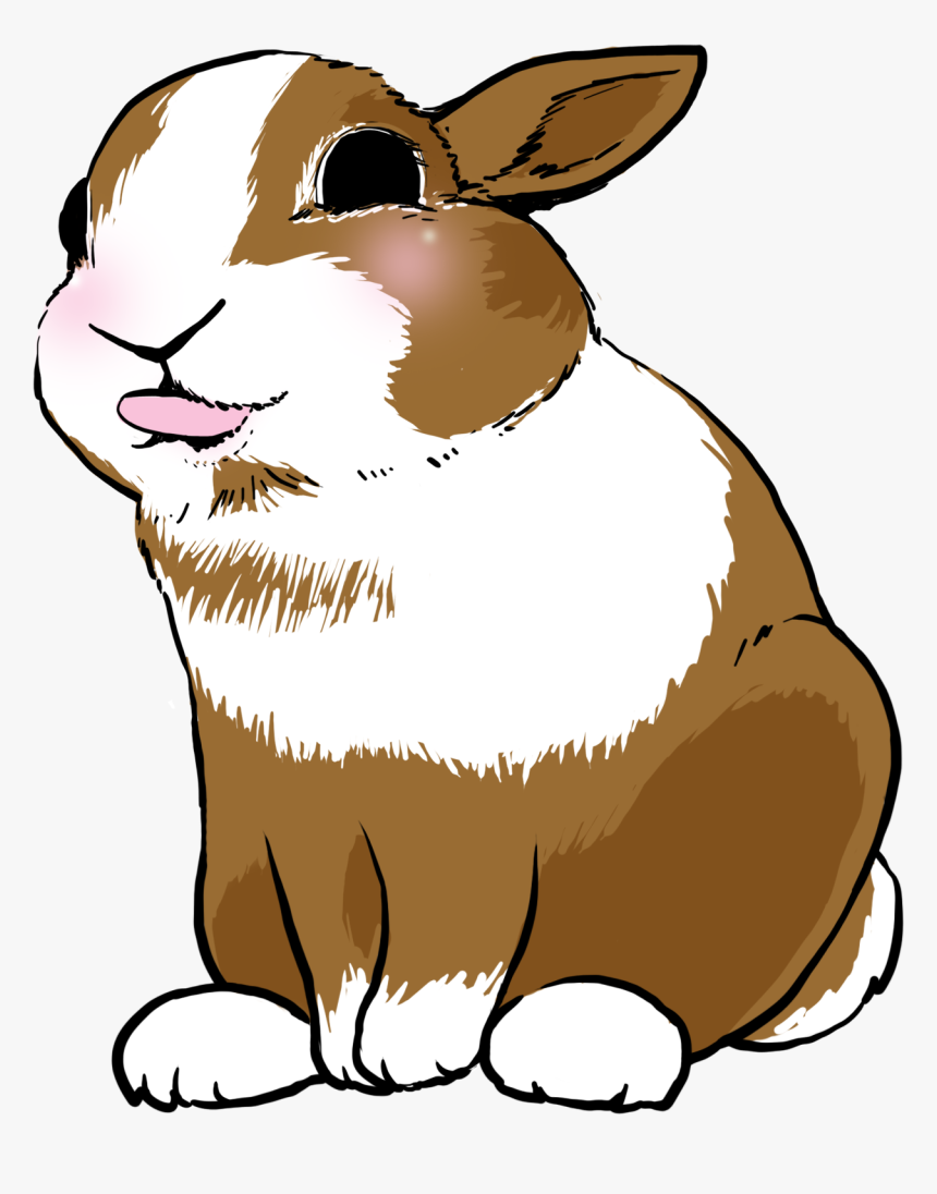 Domestic Rabbit, HD Png Download