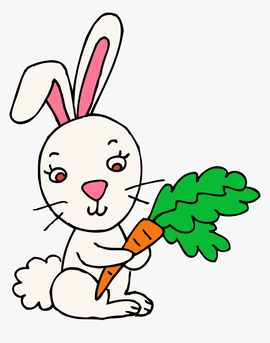 Bunny Rabbit Clipart - Clipart Pictures Of Rabbit, HD Png Download