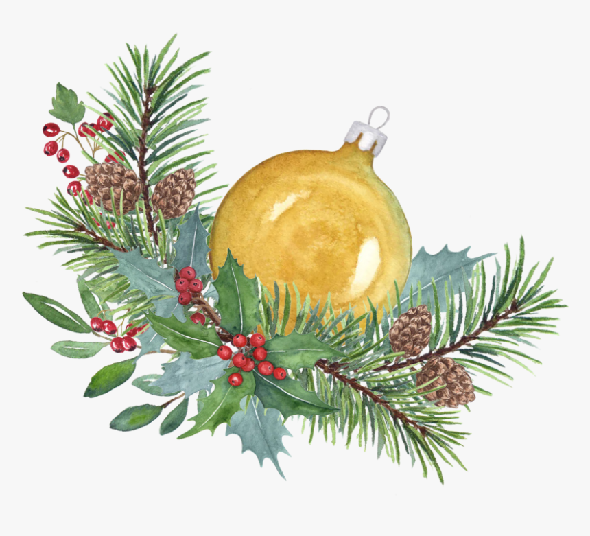 Transparent Christmas Branch Png - Illustration, Png Download