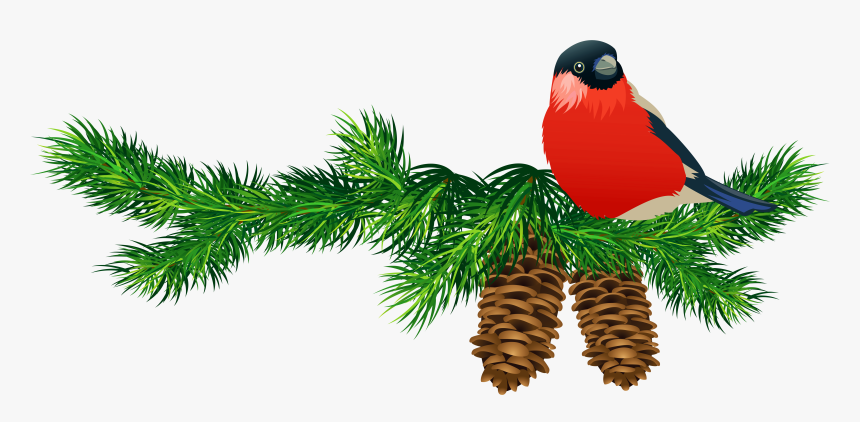 Christmas Tree Branch Png Download - Free Clipart Christmas Birds, Transparent Png