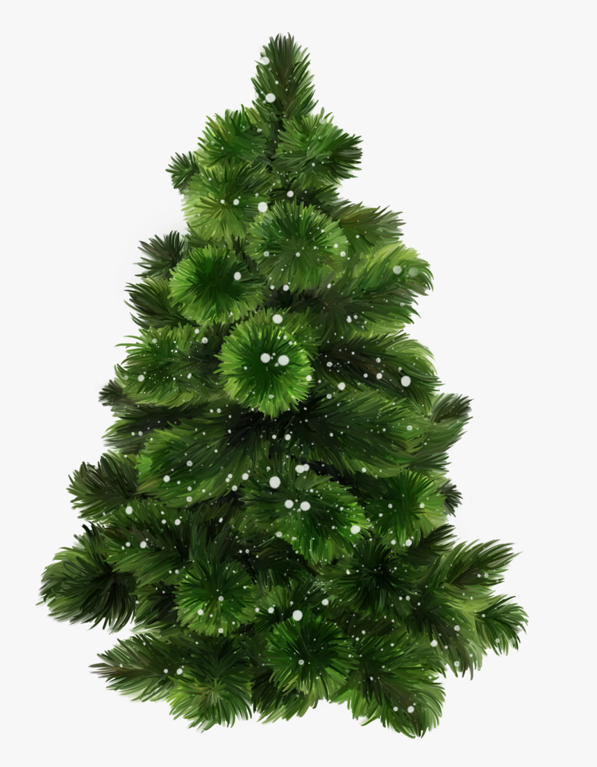0 17253d D7cd431b L Christmas Mix, Xmas Tree, Christmas - Bonsai Tree With Transparent Background, HD Png Download