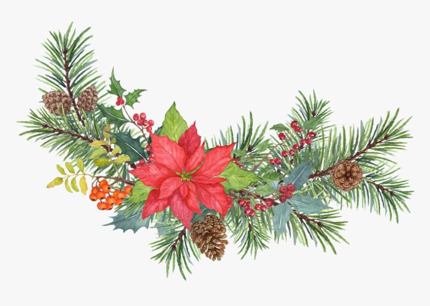 Christmas Tree, HD Png Download