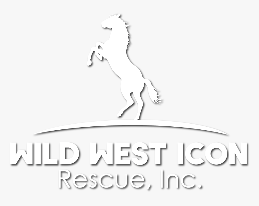 Stallion, HD Png Download